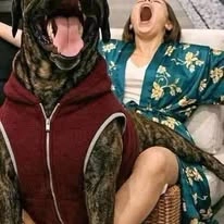 Dog saved post: The Details That Matter