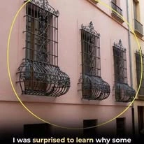 The Hidden Purpose Behind Curved Window Bars That Most People Don’t Know