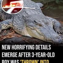 A Clearer Look at Crocodile NEW HORRIFYING DETAILS EMERGE YEAR-OLD
