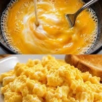 egg yolk — A Closer Look at the Story