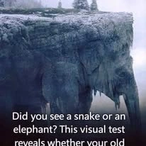 Elephant snake visual test, Seen with Better Context