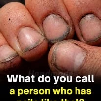 Palabras que usamos todos los días sin saber qué significan