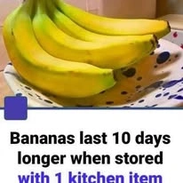 A Clearer Look at Bananas Bananas in a Widely Shared Story