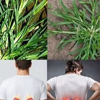 grass and text — A Closer Look at the Story
