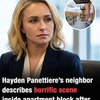 验 Hayden Panettiere's neighbor describes horrific scene inside apartment block