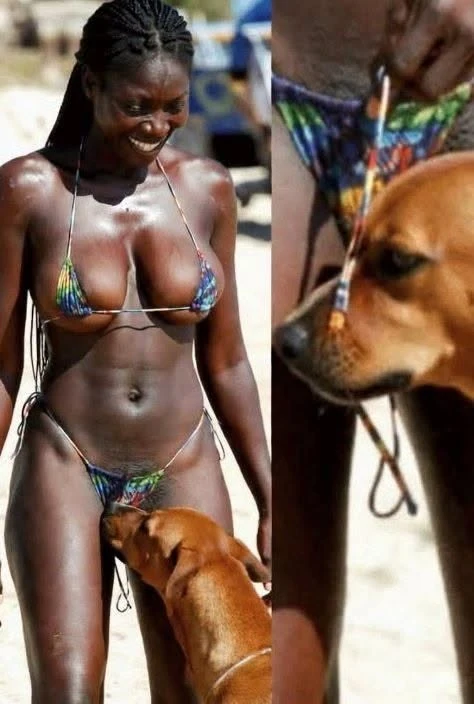 If your dog occasionally sniffs your genital area, you might wonder why