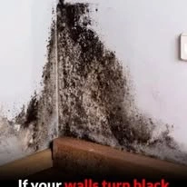 If your walls turn black in a corner, it's a clear sign