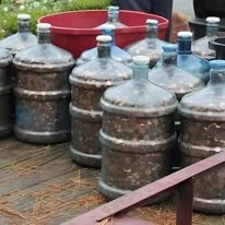 Man Saves Coins for 45 Years — What the Bank Teller Saw Left the Entire Branch Speechless