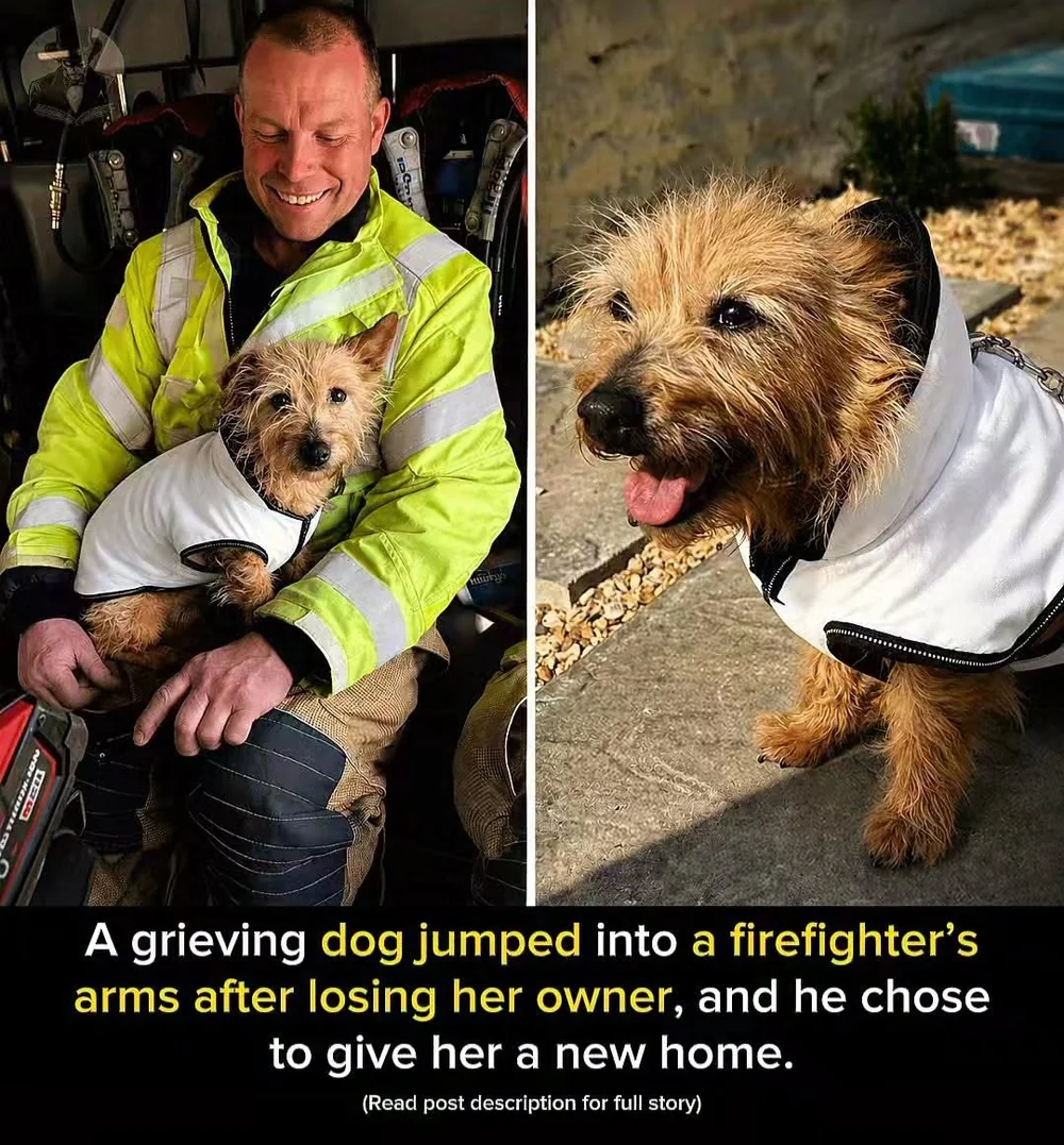 Martha's Rescuer Became the Person Who Took Her Home
