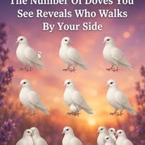 Why Number Doves in a Widely Shared Story Deserves a Thoughtful Reading