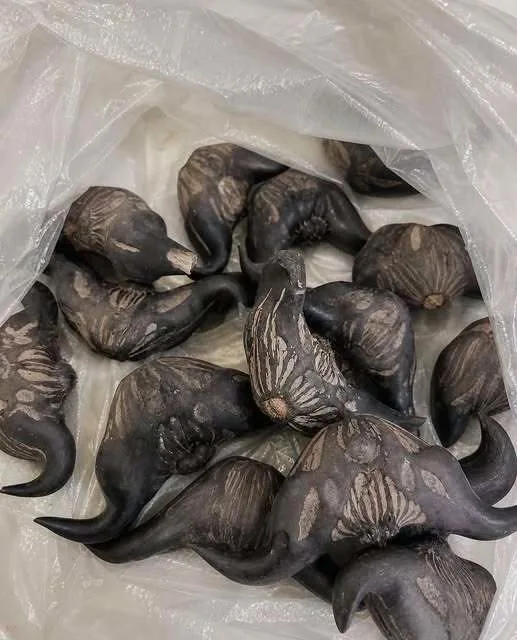My neighbor gave me a bag of these. Anyone know what they are How are you supposed to eat them ⠀͏