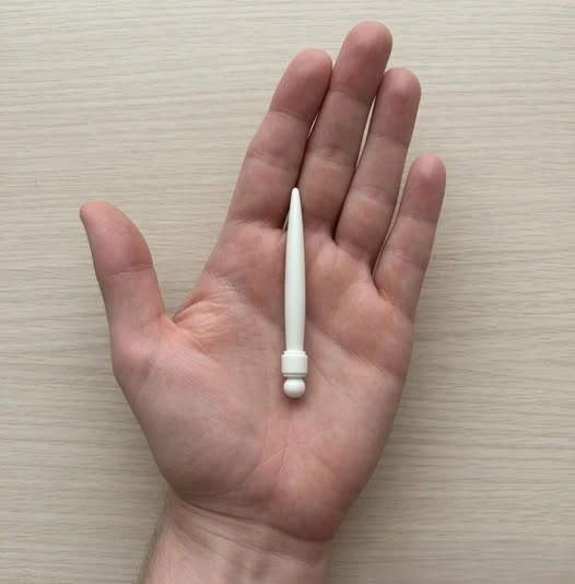 An Unfamiliar Object Found in a Bed Raised Questions