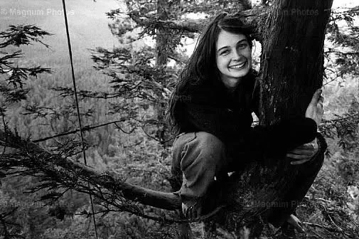 On December 10, 1997, Julia Hill climbed a thousand-year-old Californian redwood