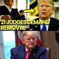 People are already reacting, but most have not read WHY?
