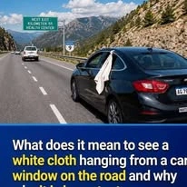 Search Results for: What a White Cloth on a Vehicle Can Really Mean