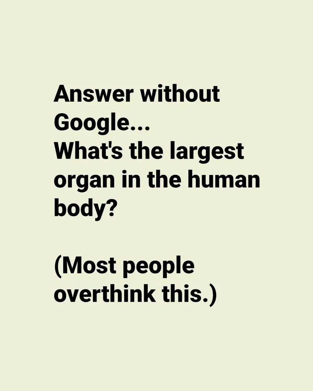 The Body's Largest Organ Is Hiding in Plain Sight