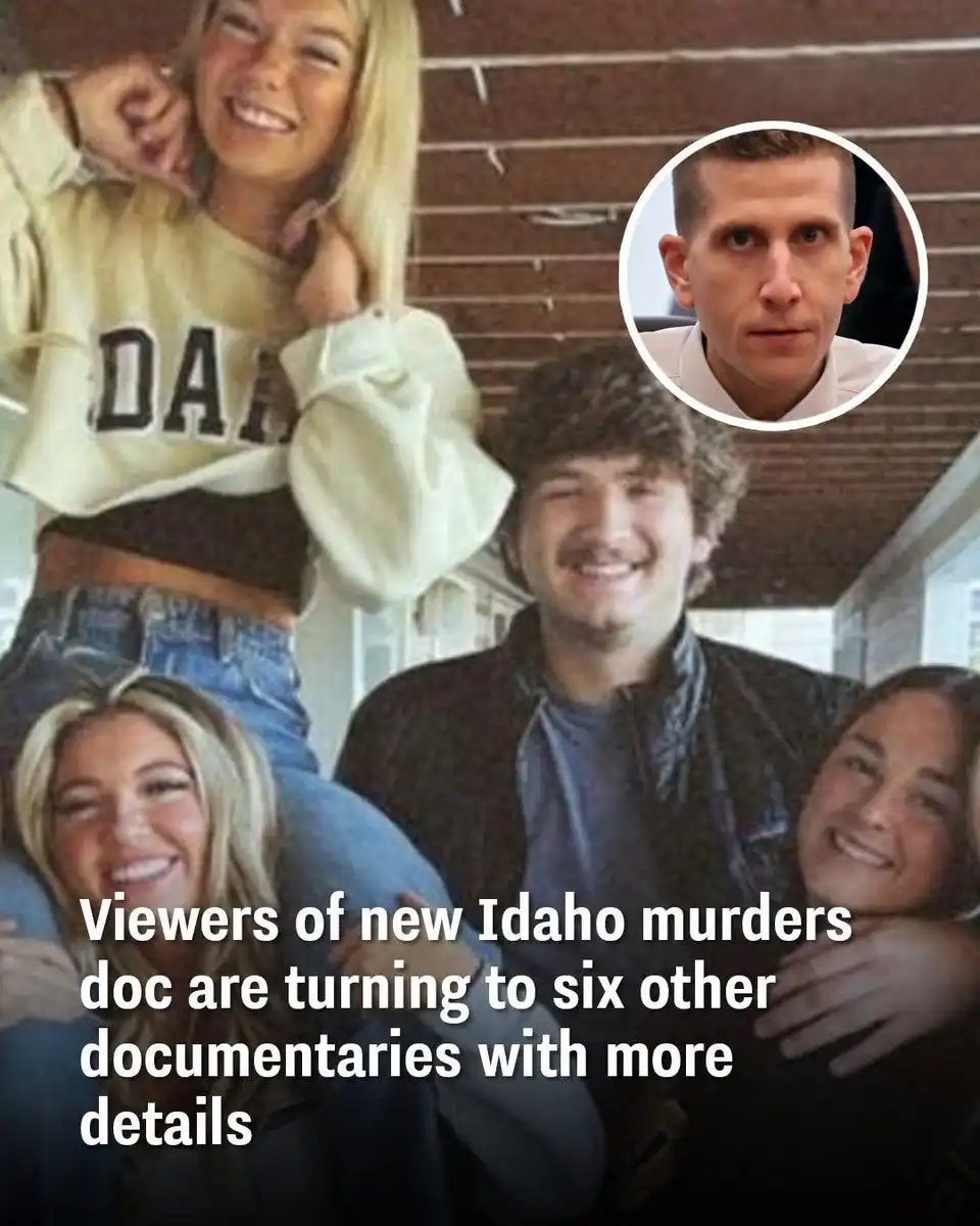 They shed further light on the case