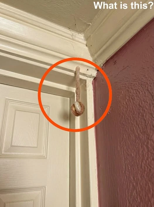 We Found Something Terrifying Hiding Inside Our Hotel Room Wall - Story News