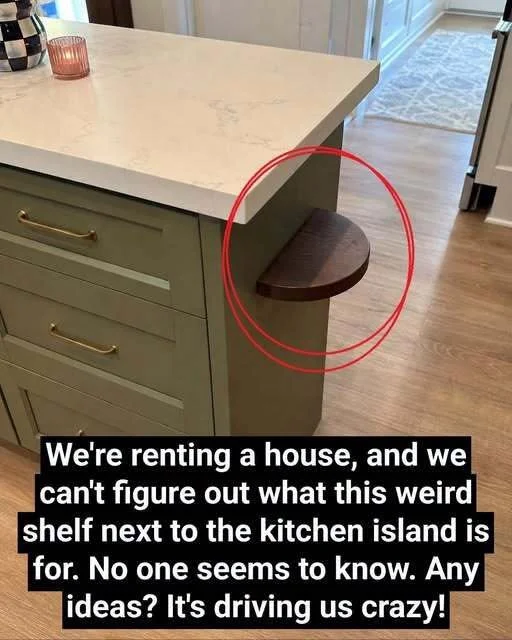 We're renting a house, and we can't figure out what this weird shelf next to the kitchen island