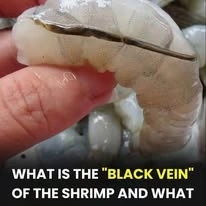 What happens if you eat the black vein in a shrimp’s tail?
