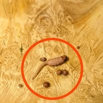 Cómo elegir carne molida en la carnicería sin errarle
